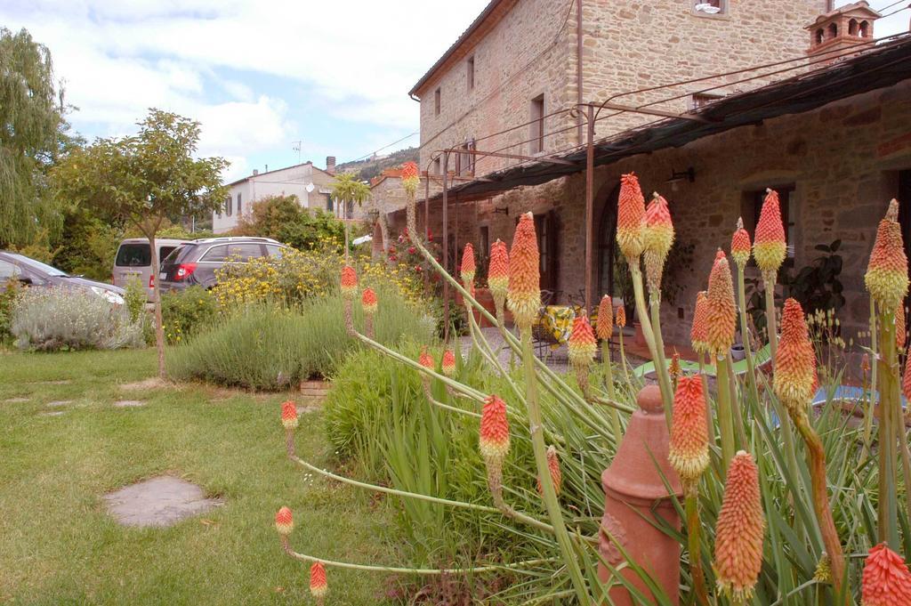 Holiday Home Il Moro Novo Кортона Экстерьер фото